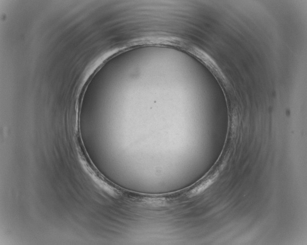 X0000081460844200701261936