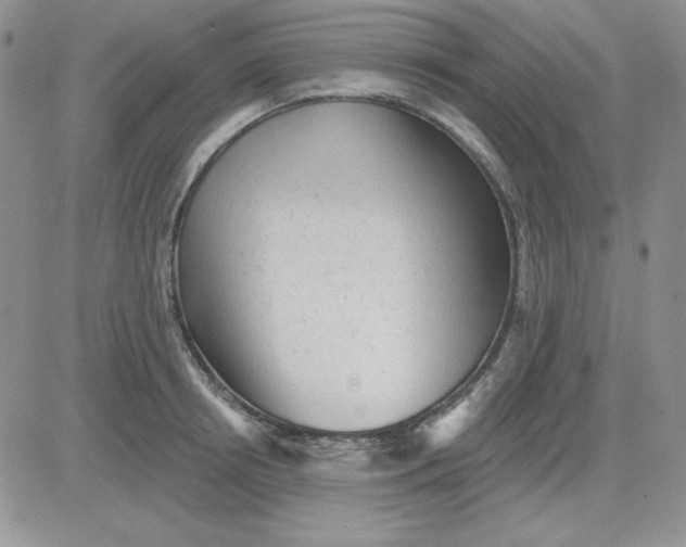 X0000081460850200701261936