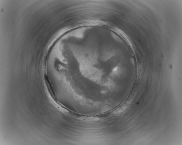 X0000081460851200701261936