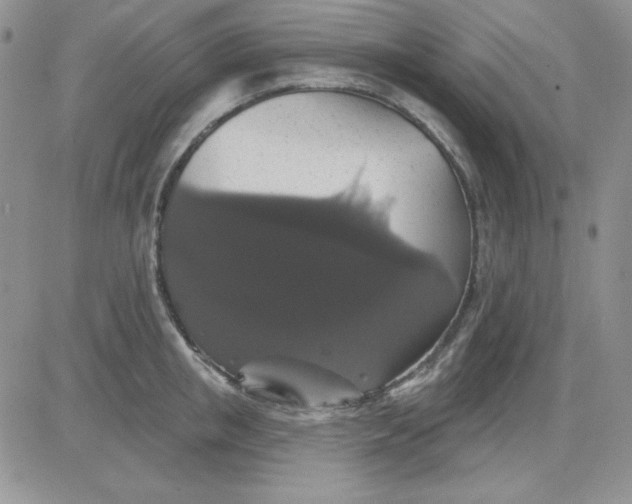 X0000081460853200701261936
