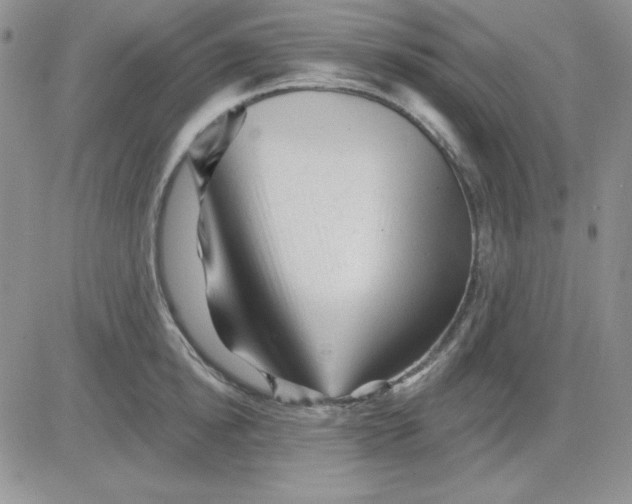 X0000081460854200701261936