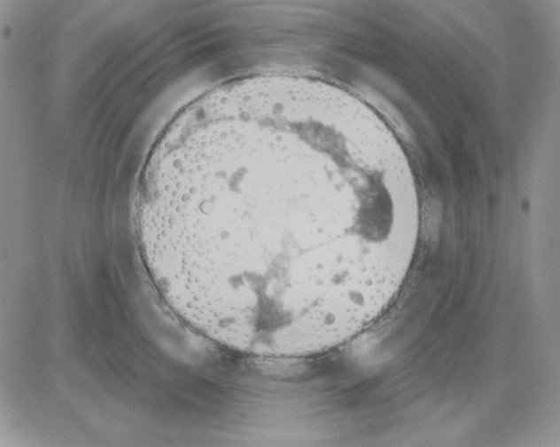 X0000081460856200701261936
