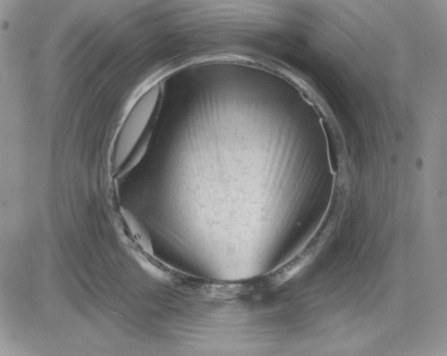 X0000081460858200701261936