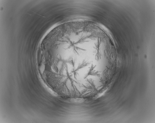X0000081460859200701261936