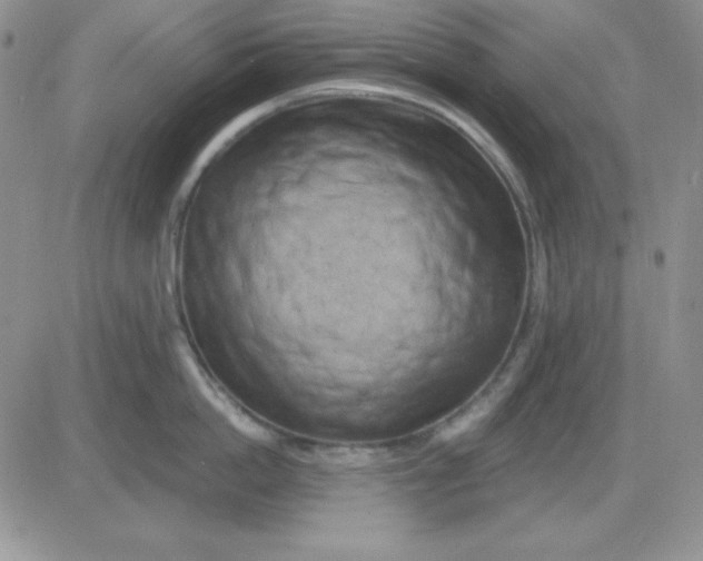 X0000081460862200701261936