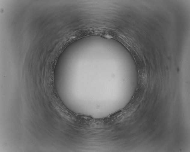 X0000081460865200701261935