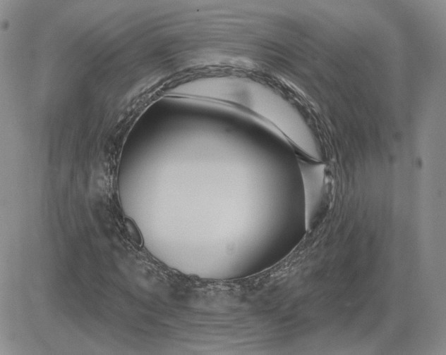 X0000081460869200701261935