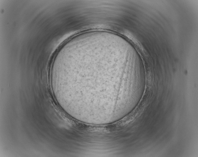 X0000081460886200701261935