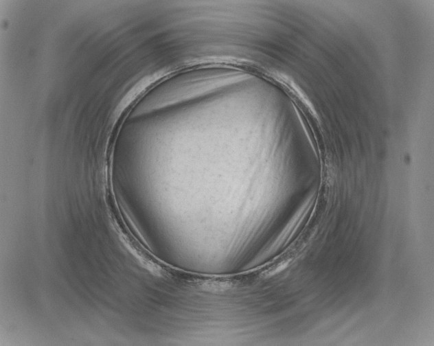 X0000081460890200701261935