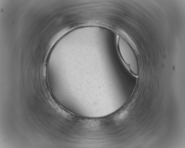X0000081460900200701261935