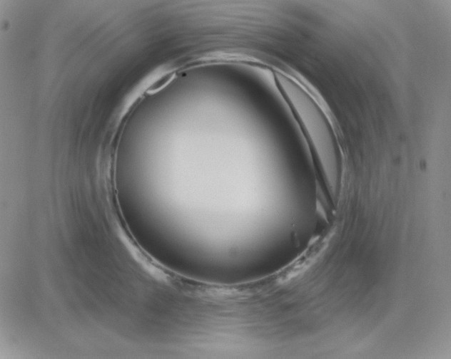 X0000081460909200701261935