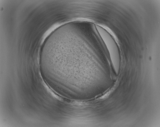 X0000081460910200701261935