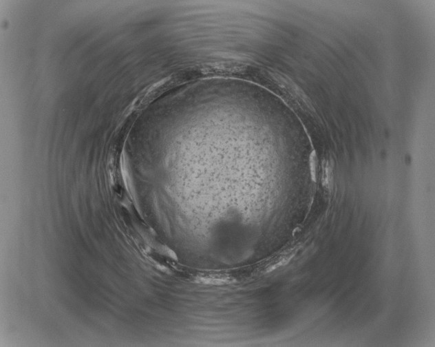 X0000081460915200701261934