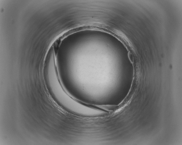 X0000081460924200701261934