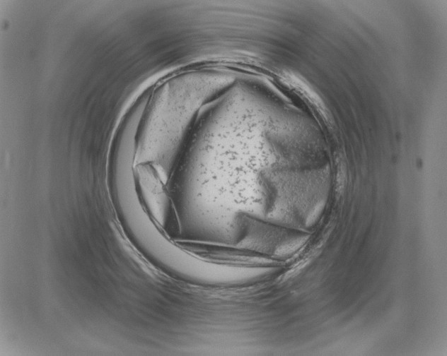 X0000081460940200701261934