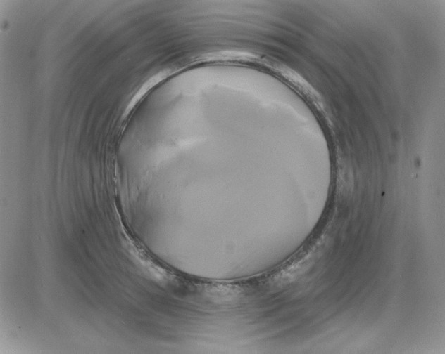 X0000081460945200701261934
