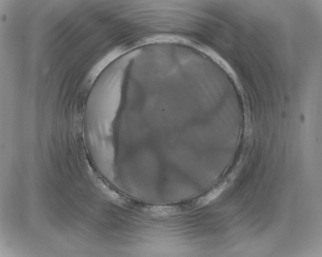 X0000081460953200701261934