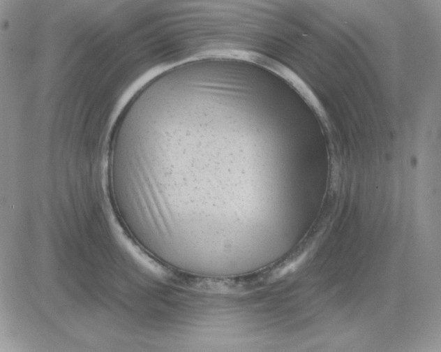 X0000081460955200701261934