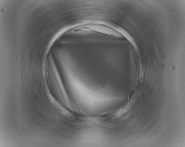 X0000081460958200701261934