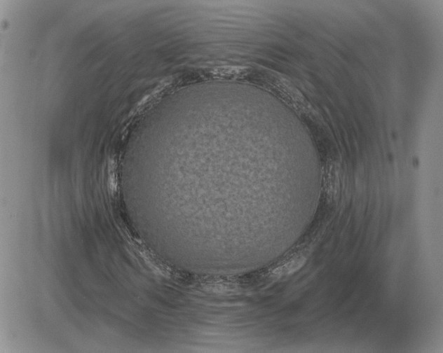 X0000081460962200701261934