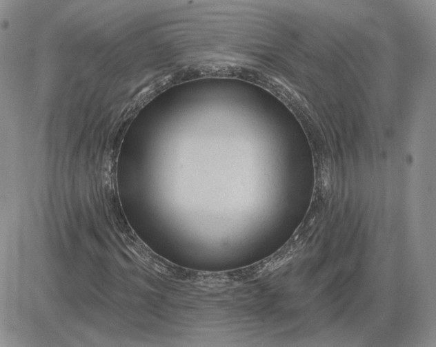X0000081460964200701261934