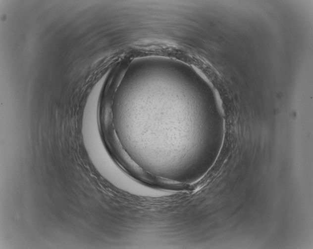 X0000081460965200701261934