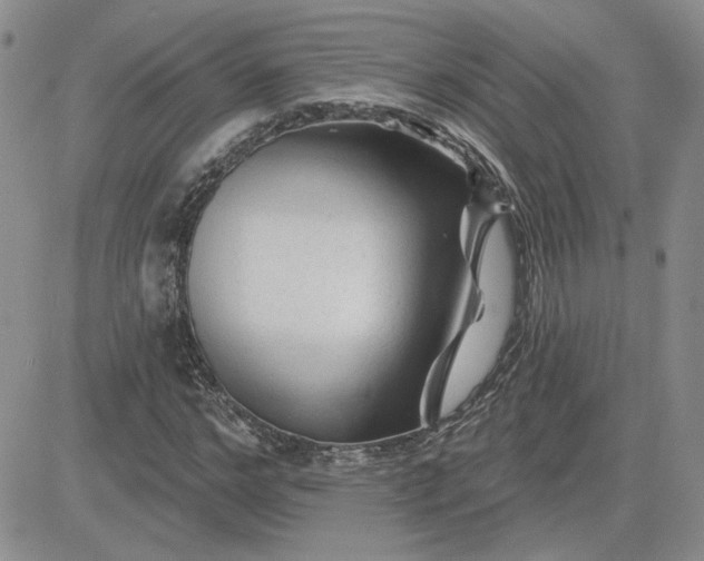 X0000081460968200701261934