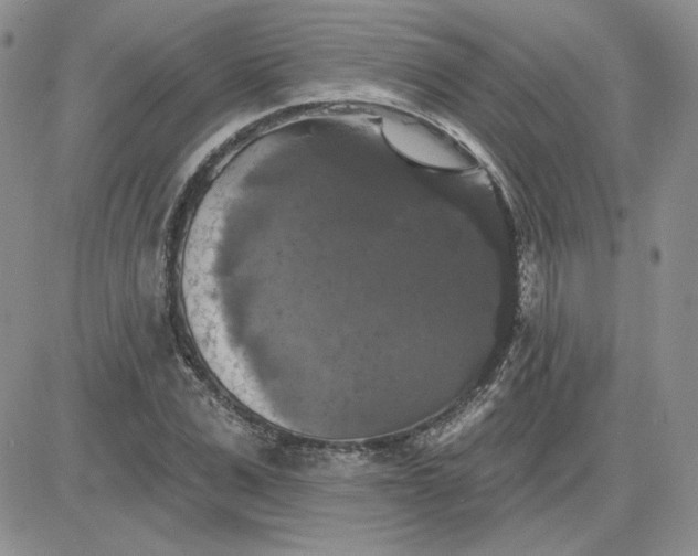 X0000081460975200701261933