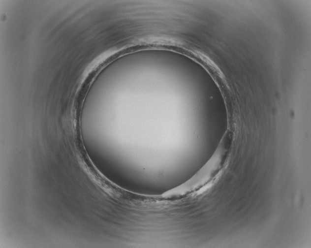 X0000081460981200701261933