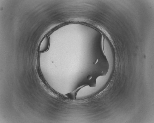 X0000081460984200701261933