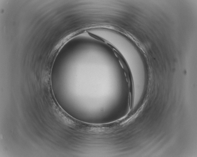 X0000081460985200701261933