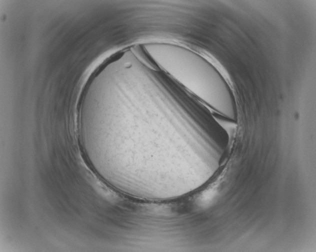 X0000081460996200701261933