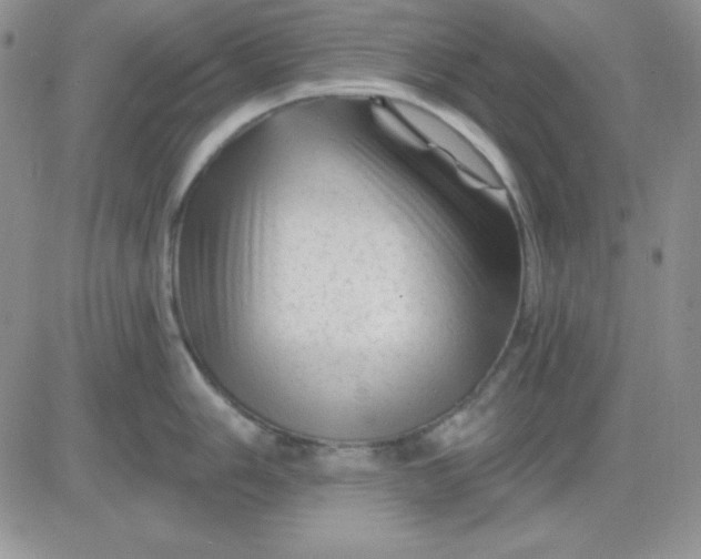 X0000081461006200701261933