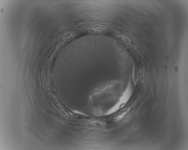 X0000081461009200701261932