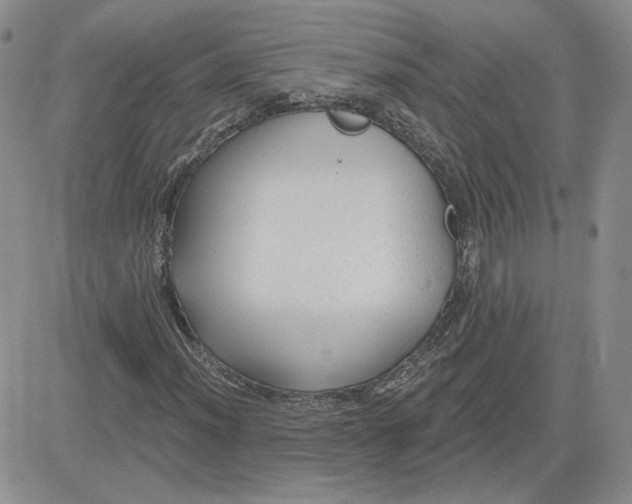 X0000081461012200701261932