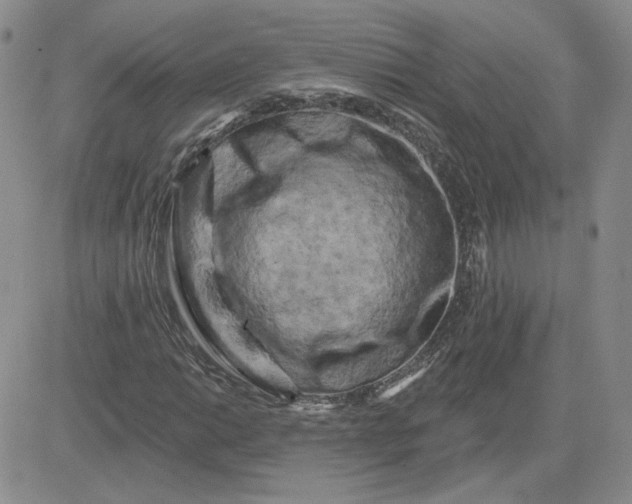 X0000081461014200701261932