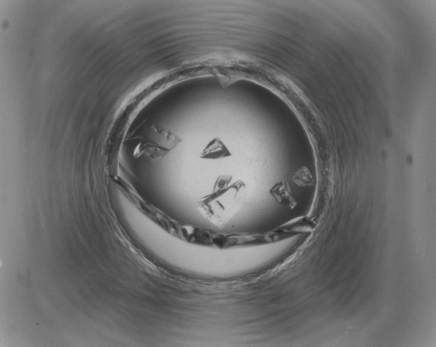 X0000081461018200701261932