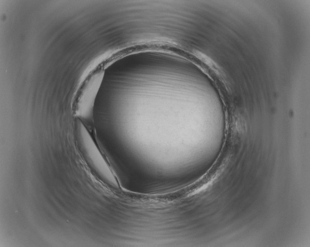 X0000081461022200701261932
