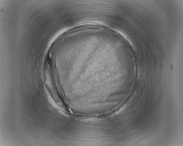 X0000081461038200701261933