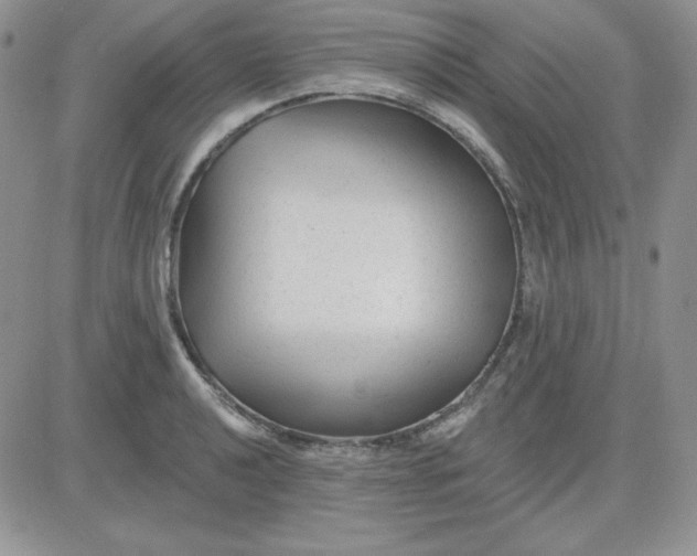 X0000081461040200701261933