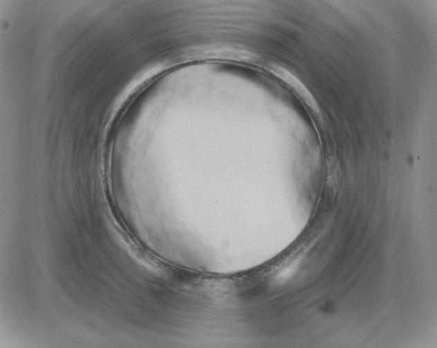 X0000081461043200701261933