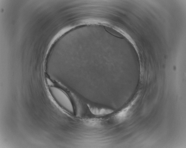 X0000081461045200701261933