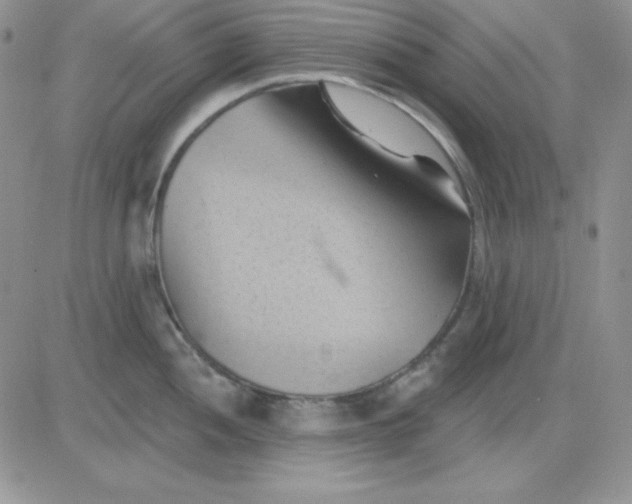 X0000081461052200701261933
