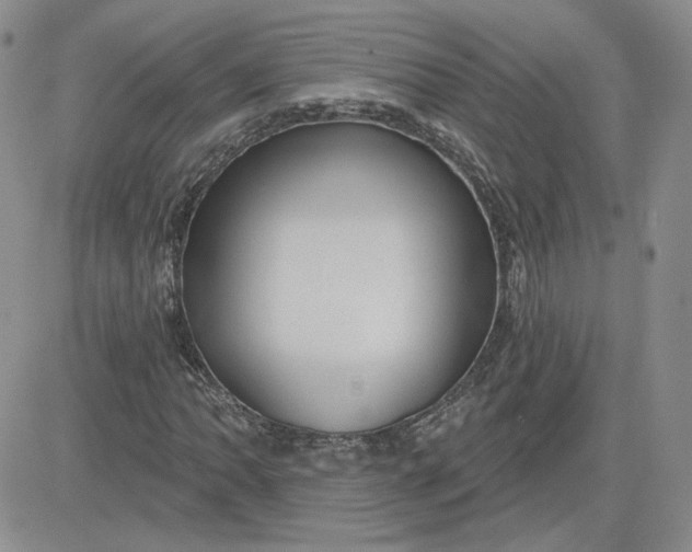 X0000081461062200701261932