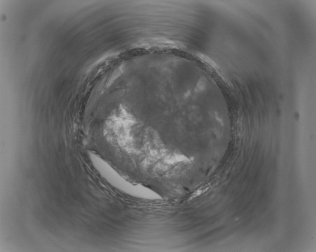 X0000081461063200701261932