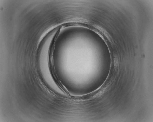 X0000081461069200701261932