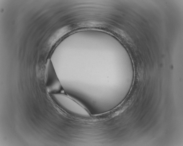X0000081461073200701261932