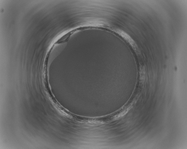 X0000081461077200701261932