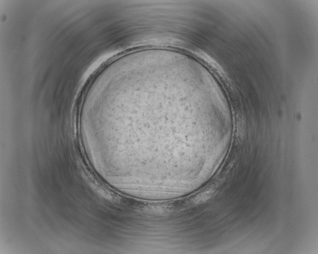 X0000081461078200701261932