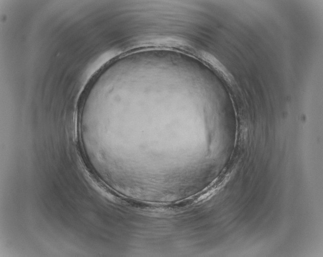 X0000081461079200701261932